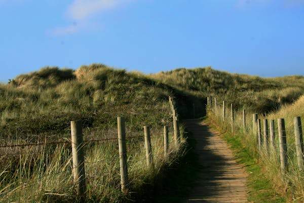 Mindfulness in the Cornish Countryside